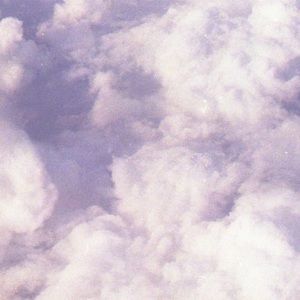 Meet your Posher, Alexa